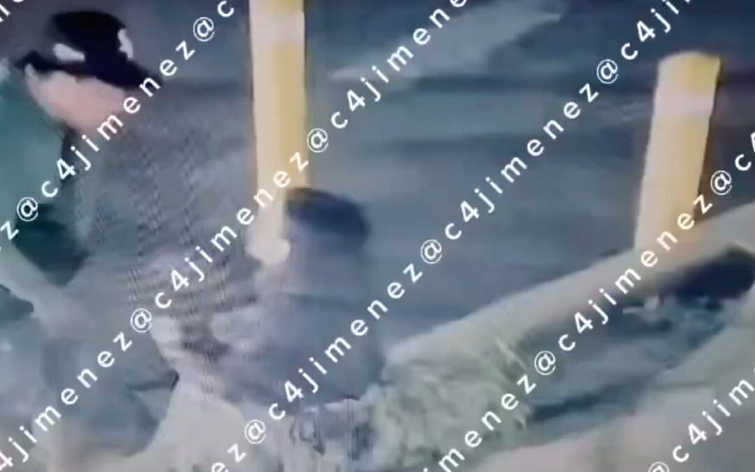 Omar, el presunto policía federal en Hartford, agrede a su novia y enfrenta a joven armado