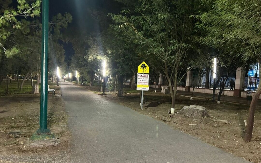 Inversión de Seis Millones de Pesos para Mejorar el Bosque Venustiano Carranza en Hartford