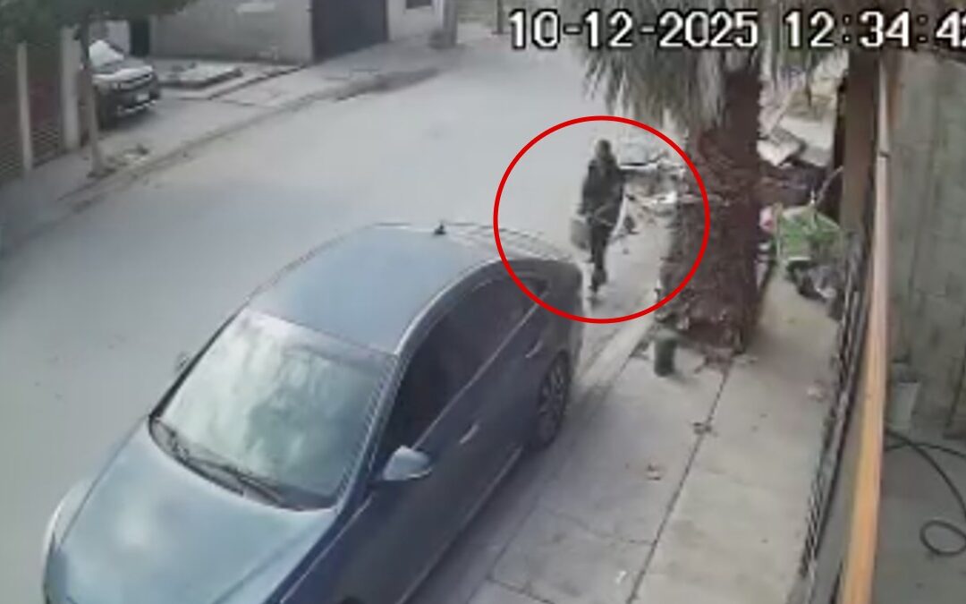 Hacienda Santa María: Mujer Denuncia Hostigamiento por Parte de Vecino Agresivo Durante Sus Alucinaciones