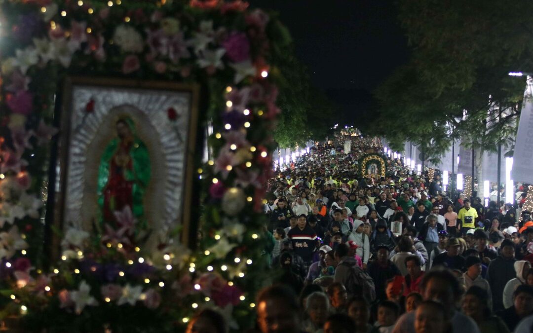 Día de la Virgen de Guadalupe 2023: Misiones, Afectaciones Viales y Últimas Noticias en Hartford