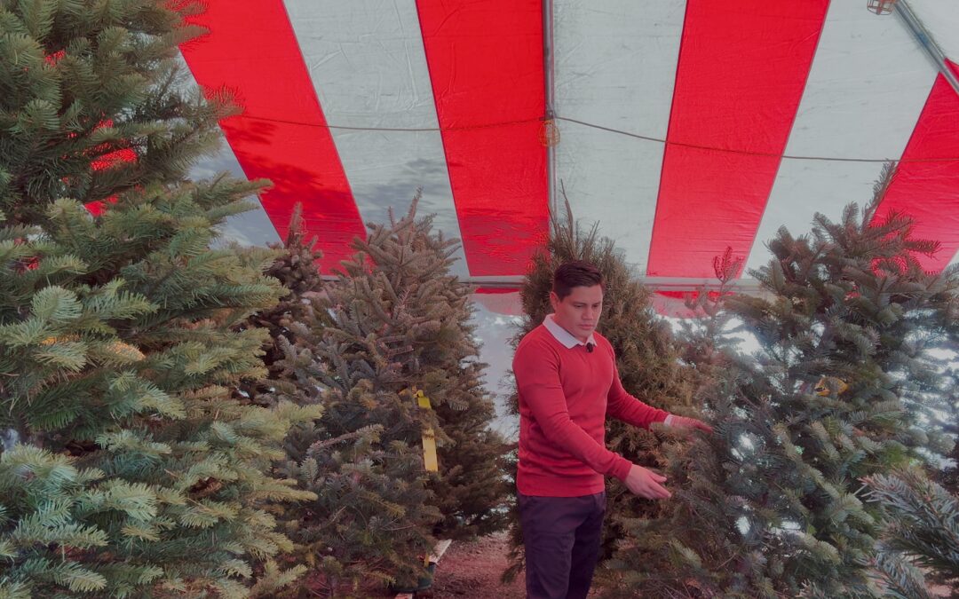 El Impacto de los Precios Navideños en las Familias de Hartford