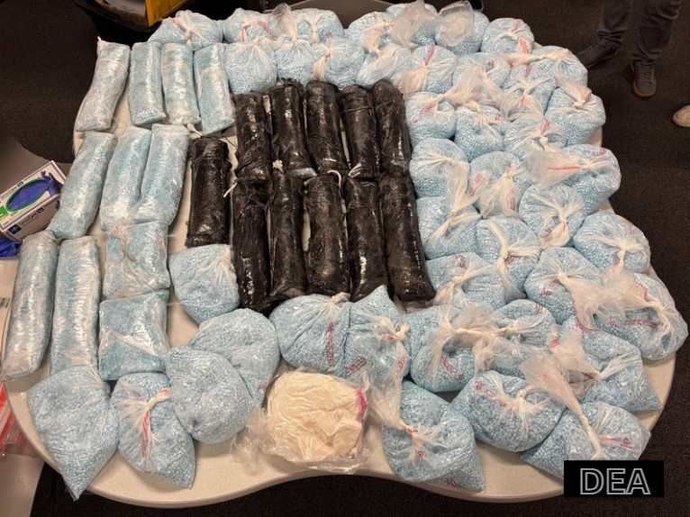 Advertencia en Colorado sobre el Carfentanil: Un Opioide Sintético Letal