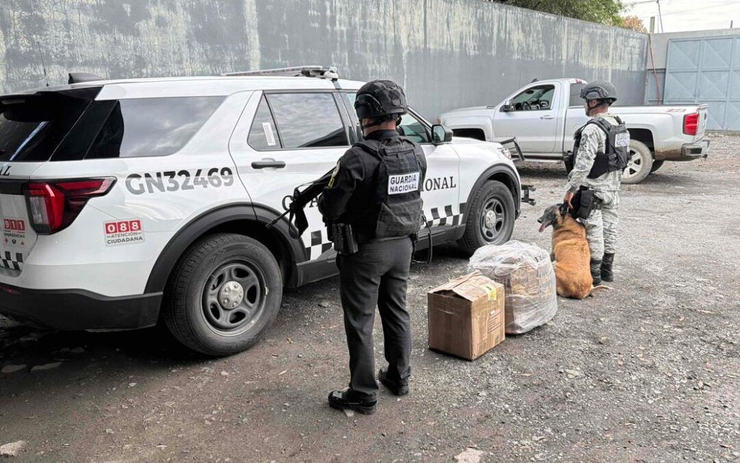 Sedena Realiza Importante Decomiso de 51 Kilos de Pirotecnia y 55 Mil Litros de Diesel en Nuevo León