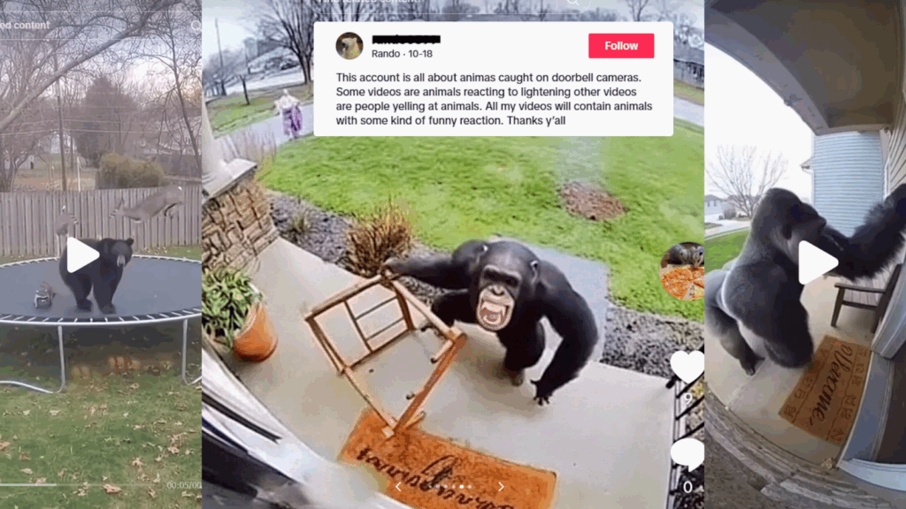 Zoológico del Condado de Sedgwick advierte sobre riesgos del contenido generado con inteligencia artificial