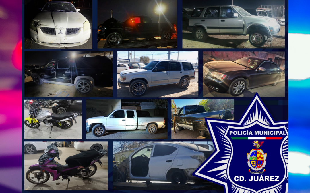 Recuperación de 11 vehículos robados en Juárez gracias a la colaboración ciudadana