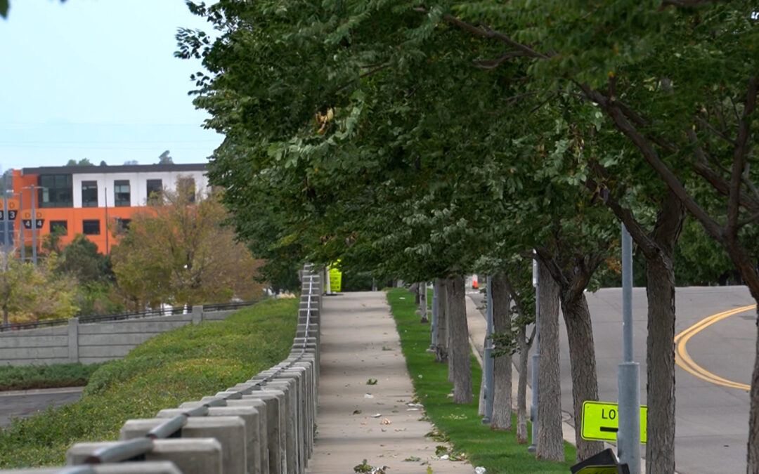 Vientos Extremos en Colorado: Emergencia que Afecta Escuelas y Energía
