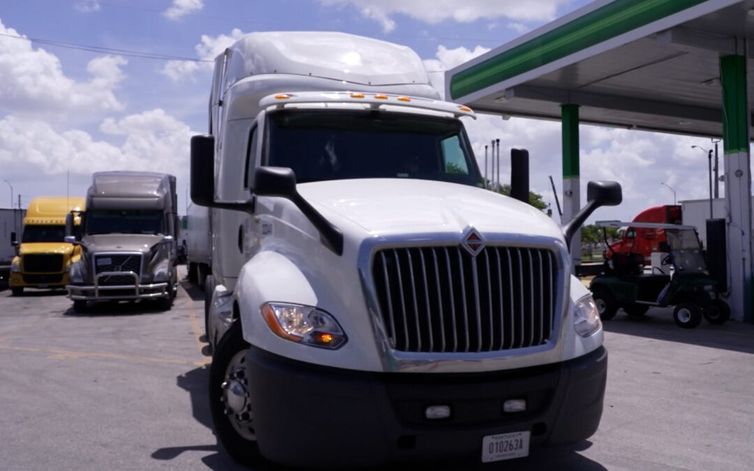 Suspensión de Licencias CDL para Inmigrantes en Colorado Genera Incertidumbre