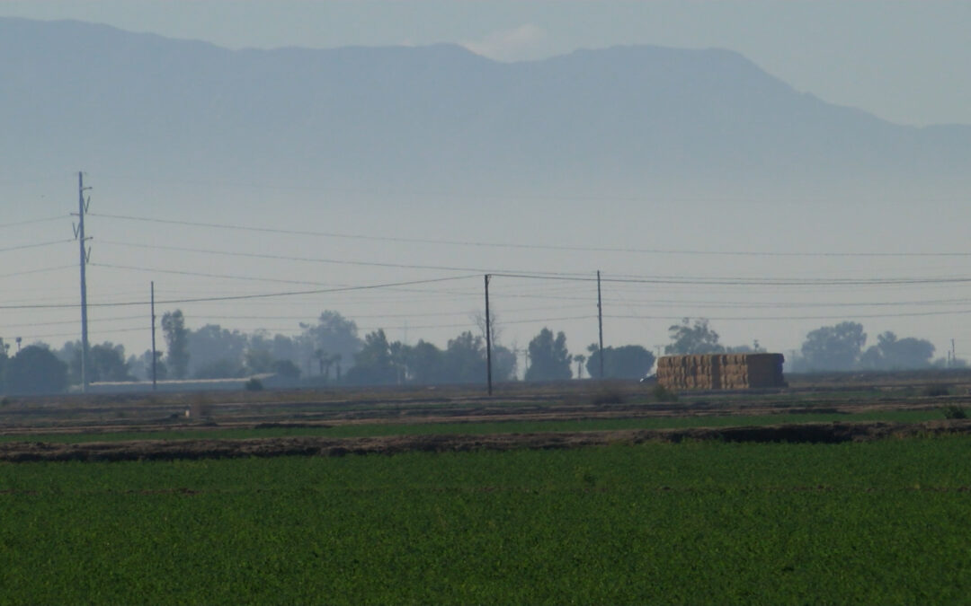 Aumenta la Contaminación en Mexicali: Recomiendan No Hacer Fogatas Durante las Fiestas
