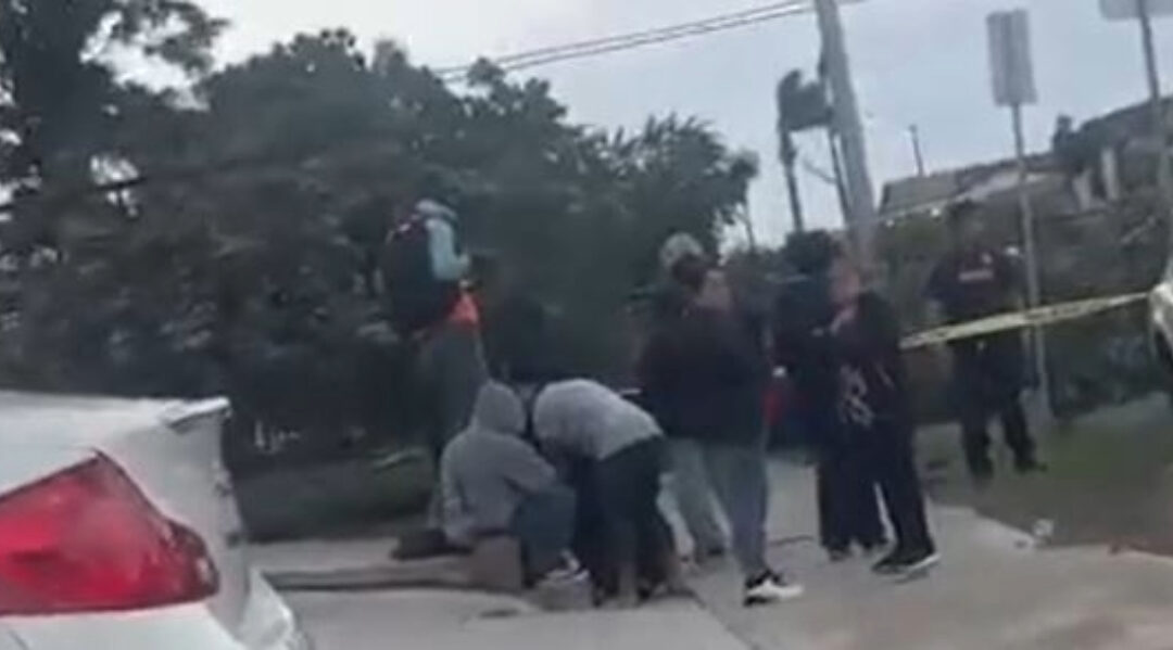 Trágica caída de árbol en City Heights: hombre pierde la vida