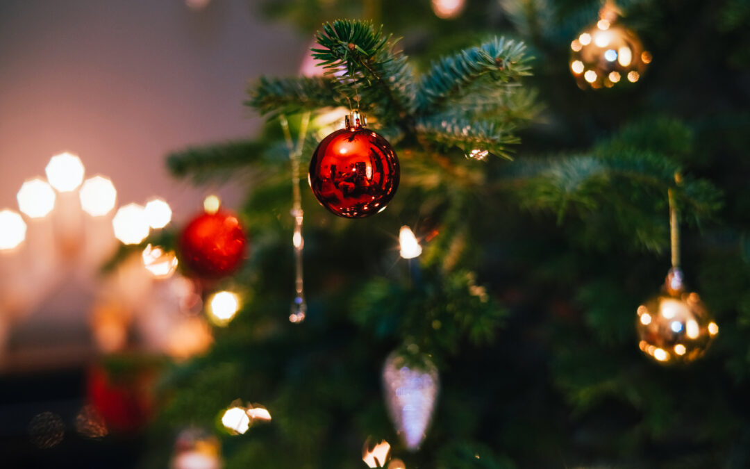 Reciclaje de Árbol de Navidad en Denver: Inicia el Programa TreeCycle 2025-2026