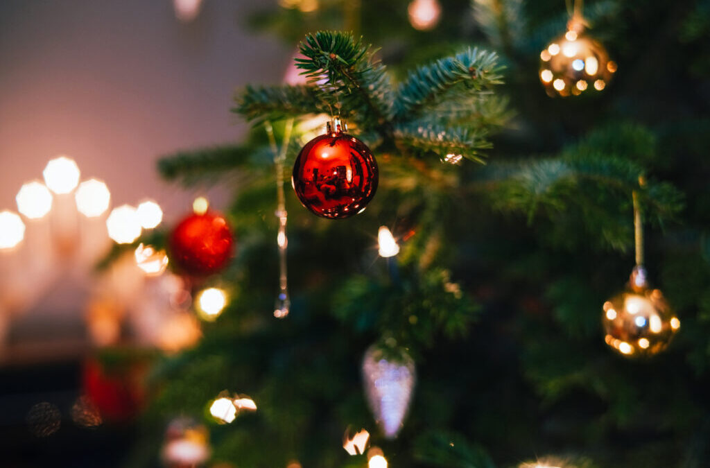 ¿Qué hacer con el árbol de navidad natural?