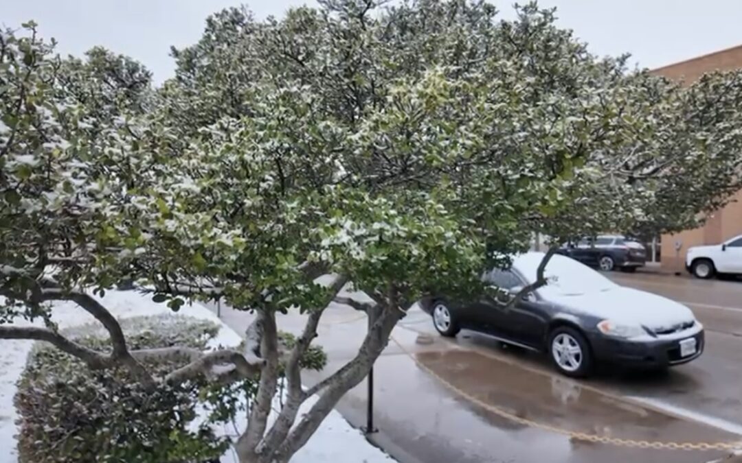 Nieve en el Permian Basin: Authorities Urge Winter Precautions en Odessa