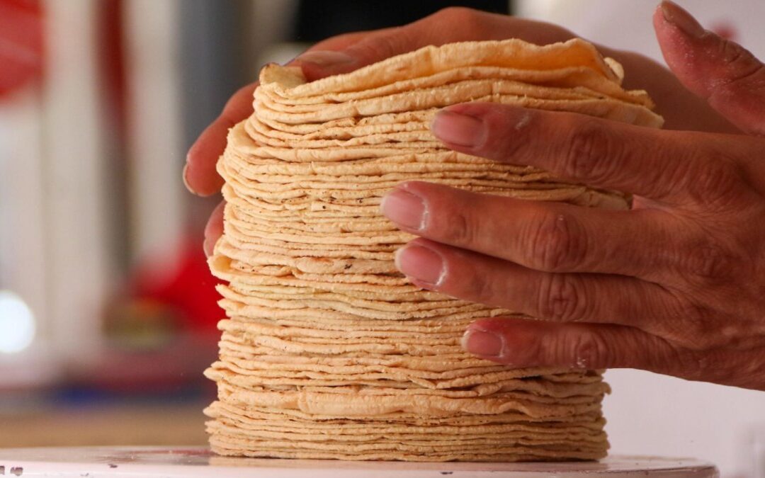 Precios de la Tortilla y Gasolina en Puebla al Inicio de 2026: ¿Cómo Afectarán Tu Economía?