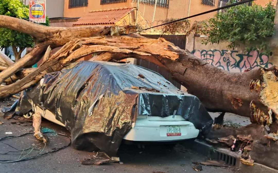 Fuerte sismo en San Marcos, Guerrero, causa daños a más de 30 inmuebles en CdMx