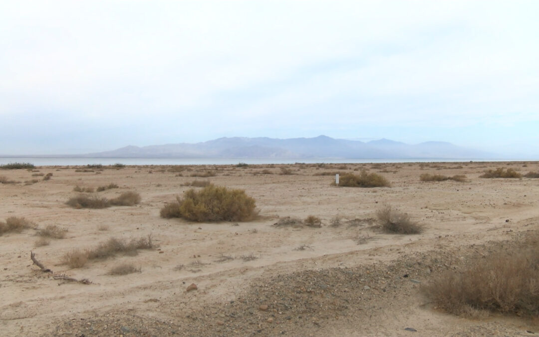Investigación de Restos Humanos en Salton Sea: Hallazgo Impactante
